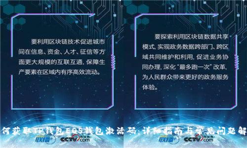 如何获取TP钱包EOS钱包激活码：详细指南与常见问题解答