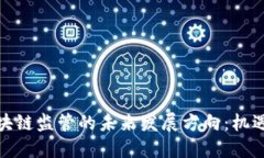 金融区块链监管的未来发展方向：机遇与挑战