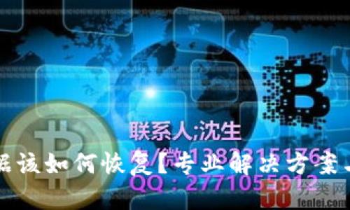 TP钱包误删数据该如何恢复？专业解决方案与操作步骤解析