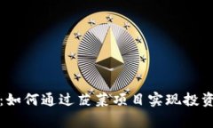区块链金融：如何通过菠菜项目实现投资与收益