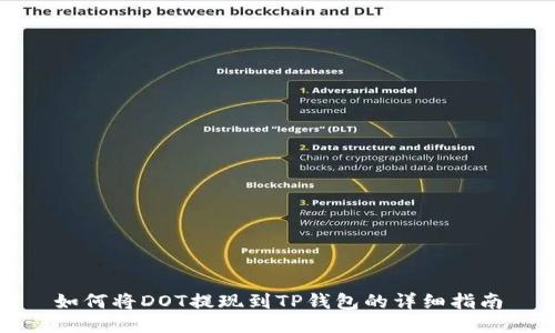 如何将DOT提现到TP钱包的详细指南
