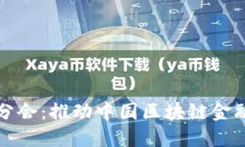 首都金融区块链分会：推动中国区块链金融创新的动力源泉